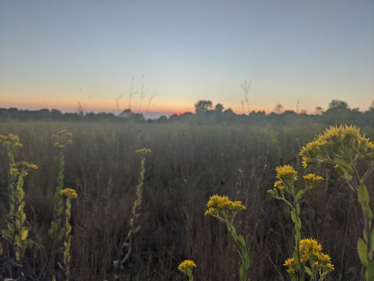 Rockton Bog Nature Preserve