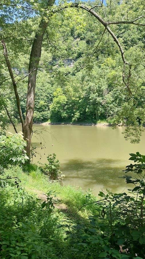 Sally Brown Nature Preserve