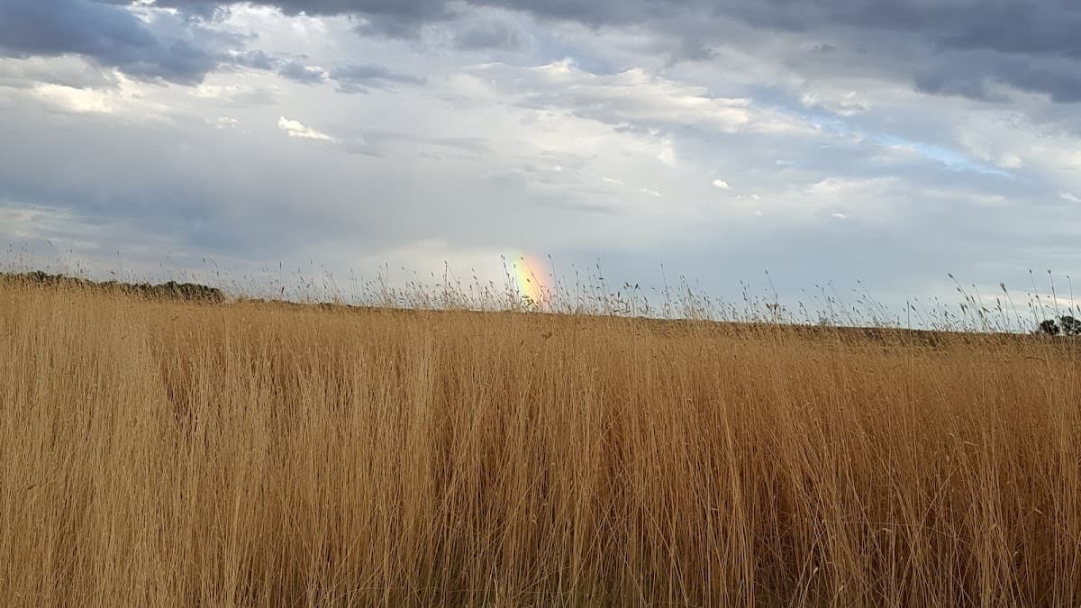 Sand Creek Riparian Preserve