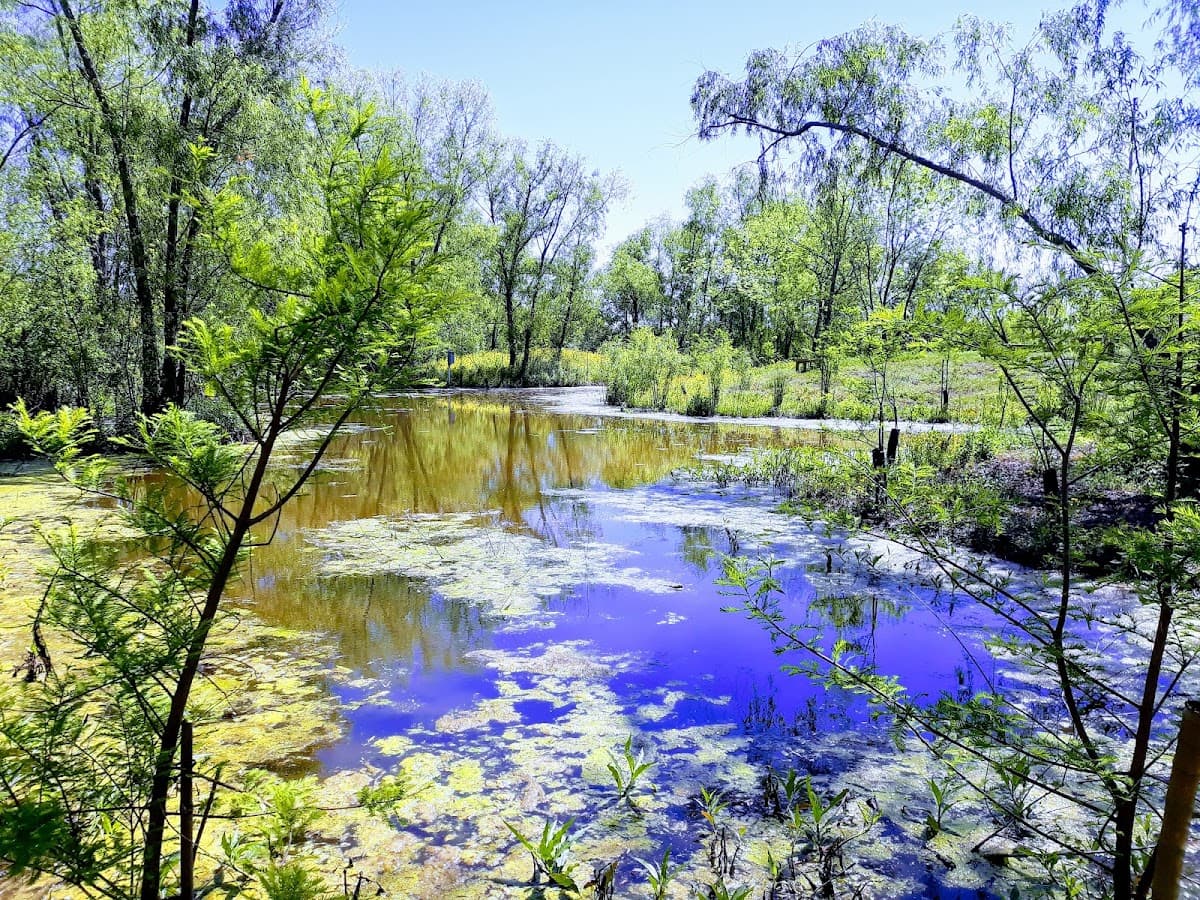 Sankofa Wetland Park & Nature Trail