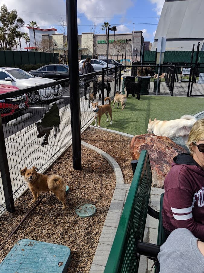 Signal Hill Dog Park