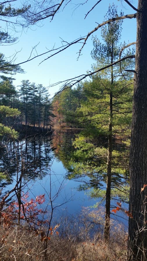 Spalding Park - Hollis Town Forest