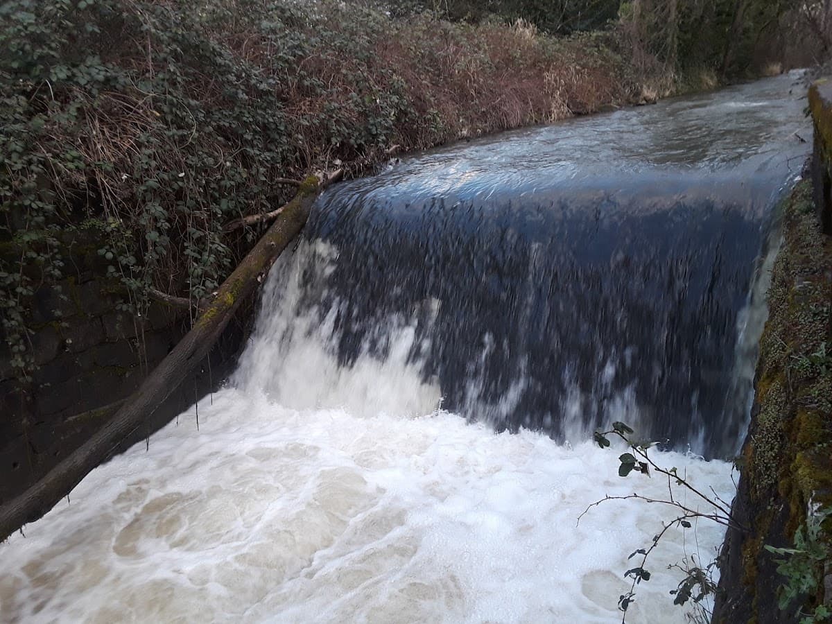 Spring Water Trail
