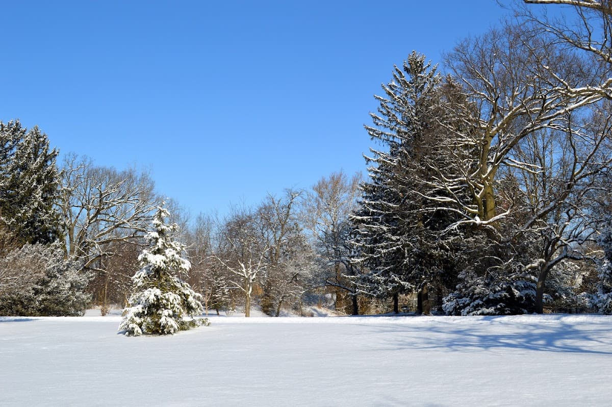 Swinney Park