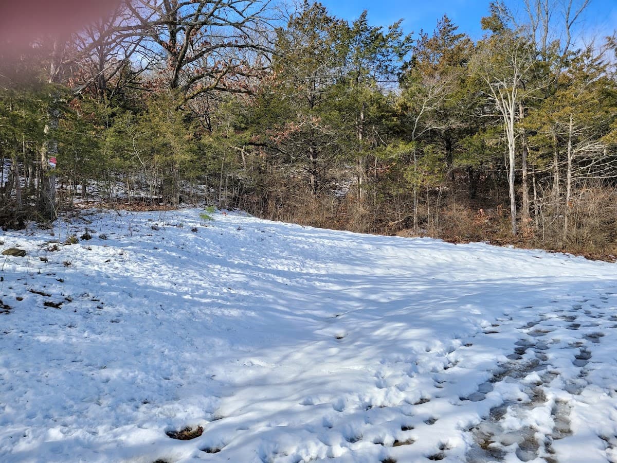 Taylor Park