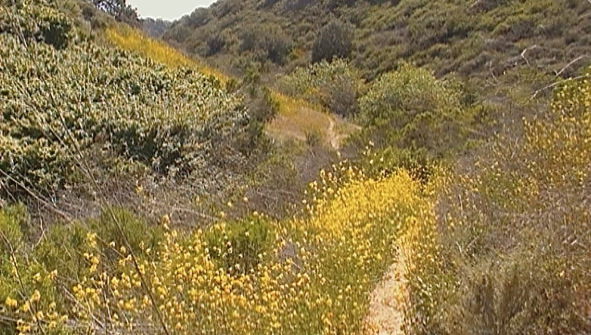 Tecolote Canyon Natural Parktrailhead