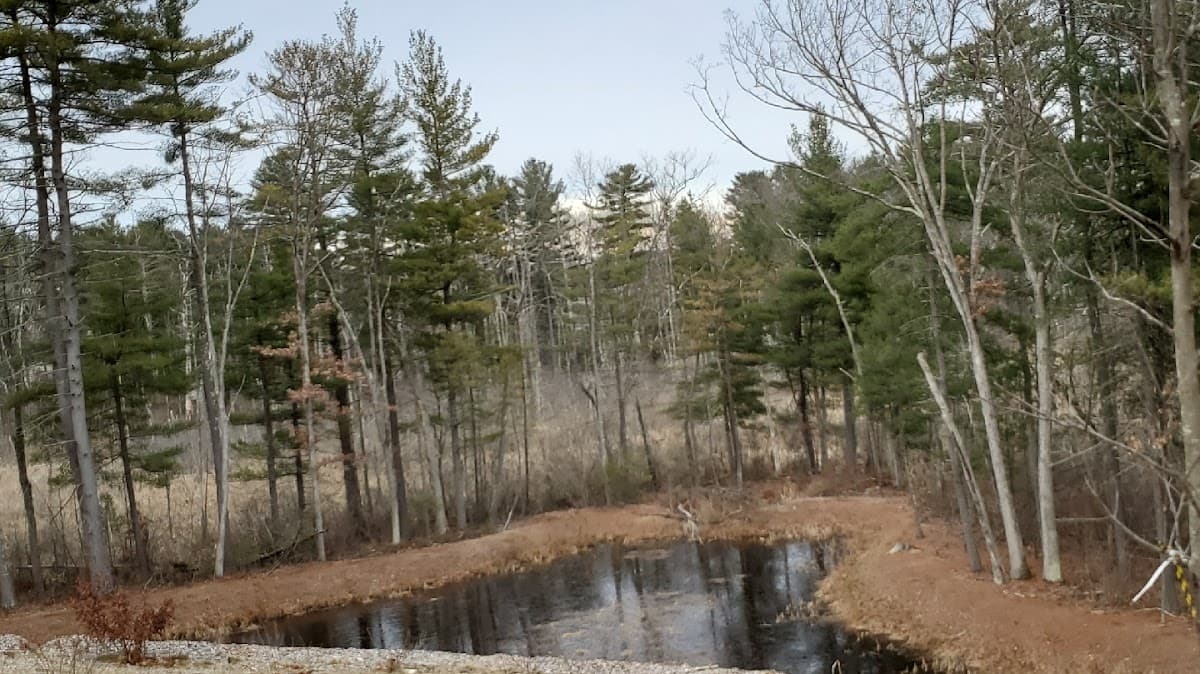"The Wells" Conservation Land