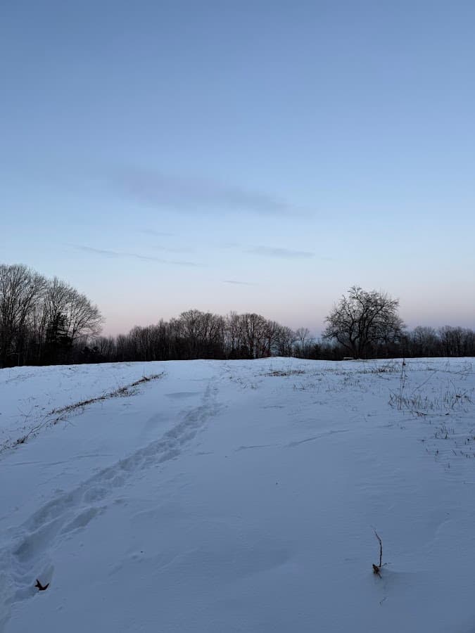 Thorncrag Meadow