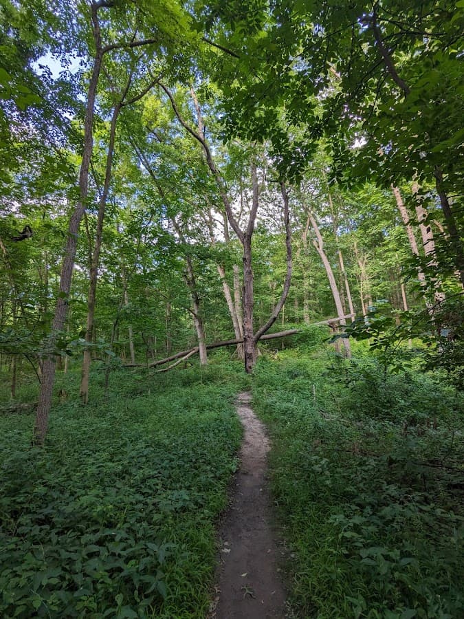Tom Freeman Preserve