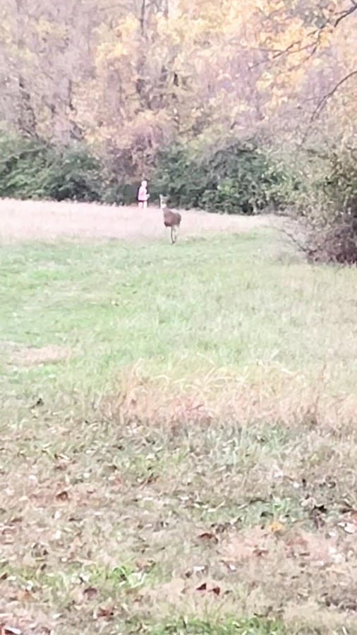 Trailhead/end Natchez Trace Pkwy Ridgeland