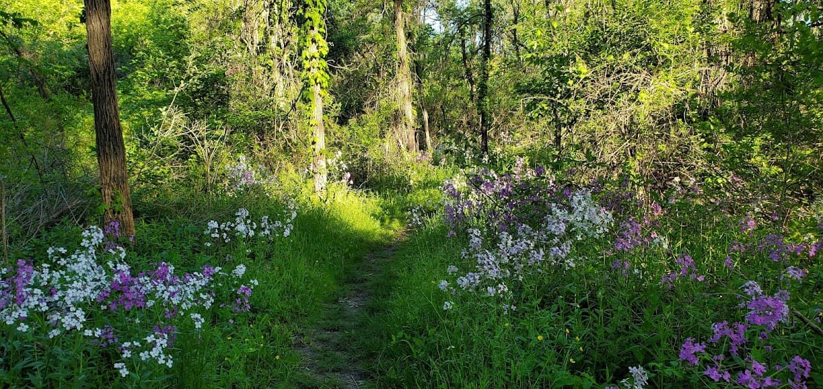 Traver Creek Nature Area