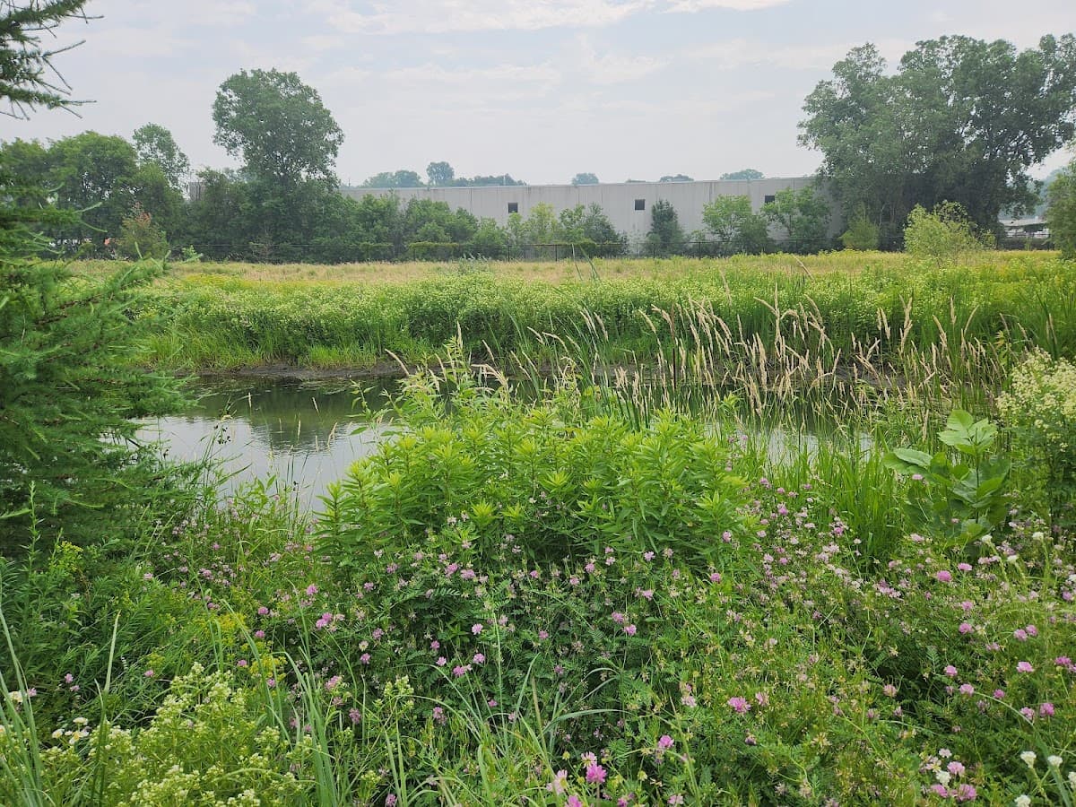Trout Brook Nature Sanctuary- Magnolia Avenue Entrance