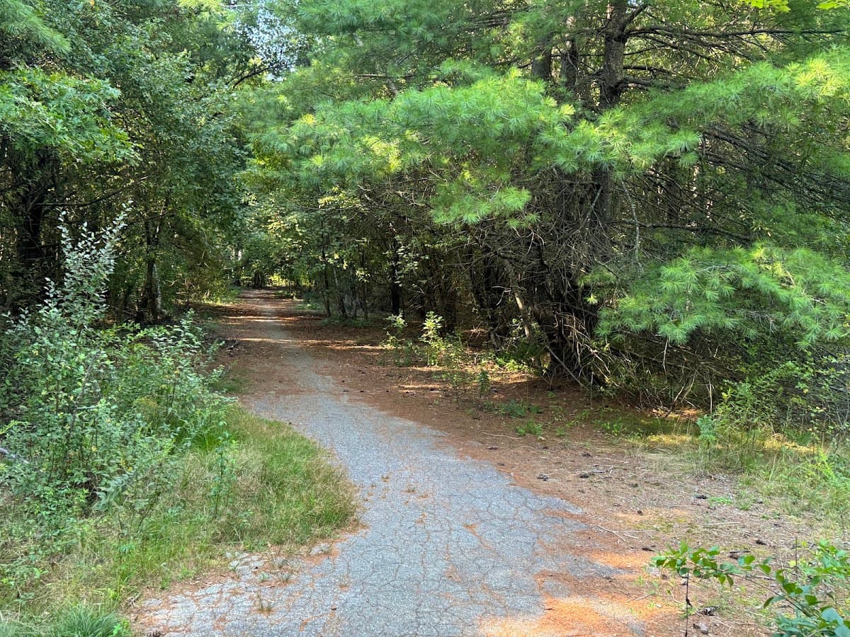 Tyson's Trailhead