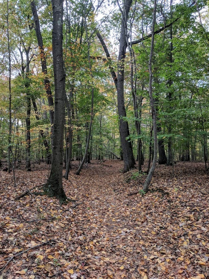 Upper Westville Community Park
