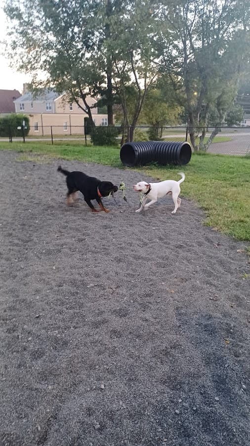 Veterans Memorial Dog Park