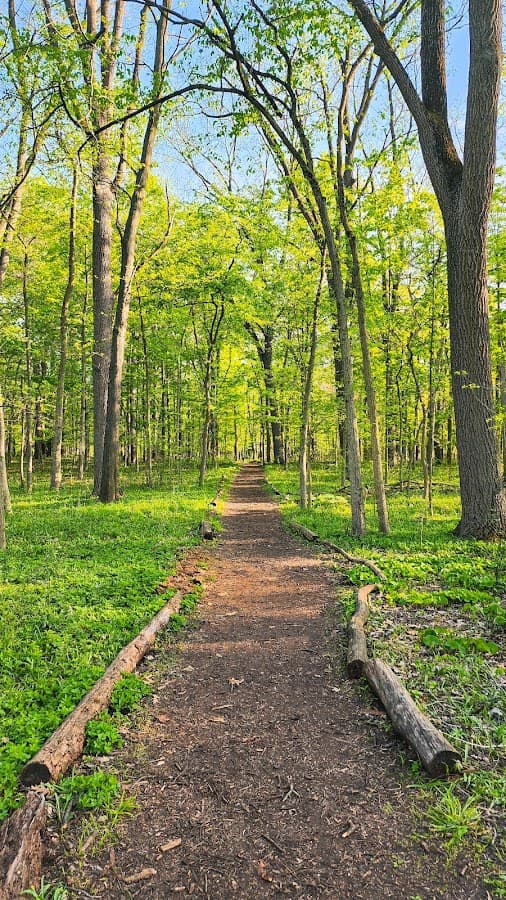 Waterfall Loop Trail - Henry Ford Estate