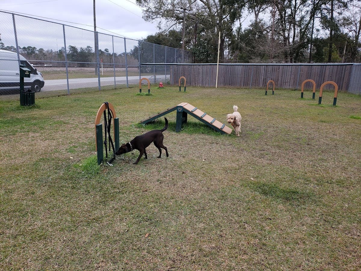 Waveland Bark Park