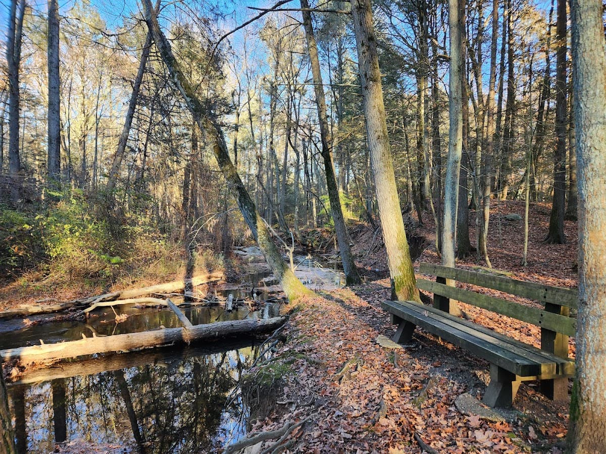 Wepawaug Trails