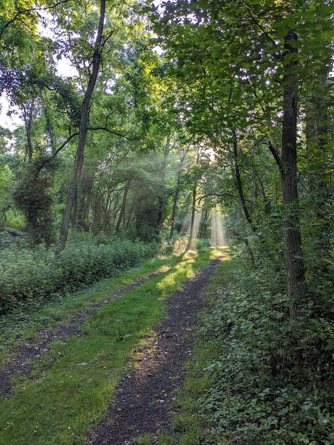 West Avenue Nature Trails