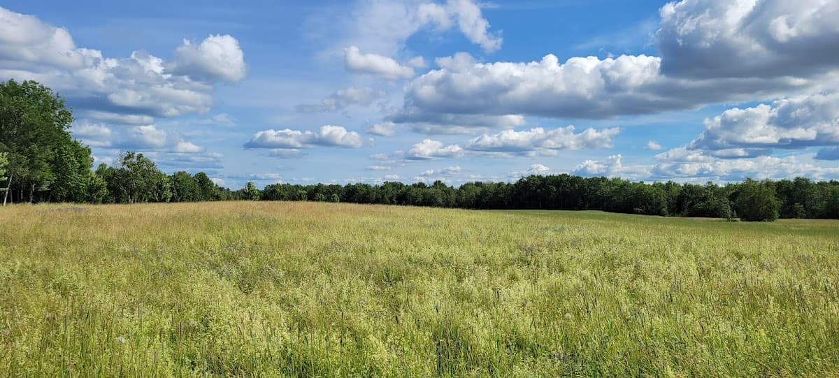 West Penjajawoc Grasslands