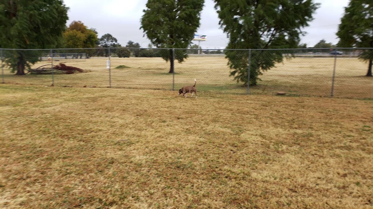 Wiggly Field