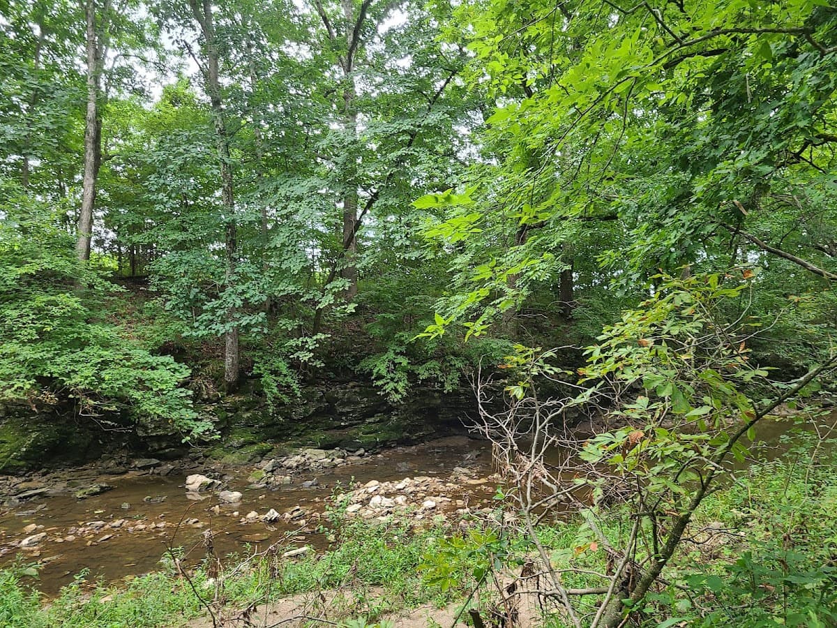 Wild Haven Nature Area