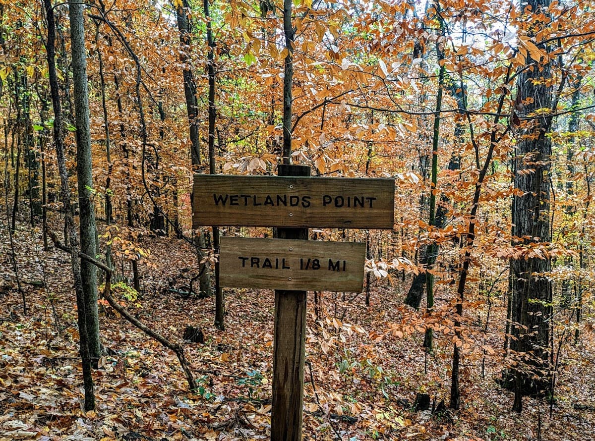 Wildwood Preserve