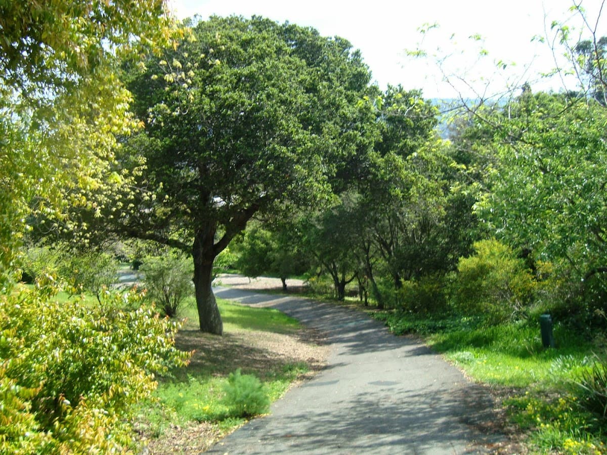 William D. Wood Park