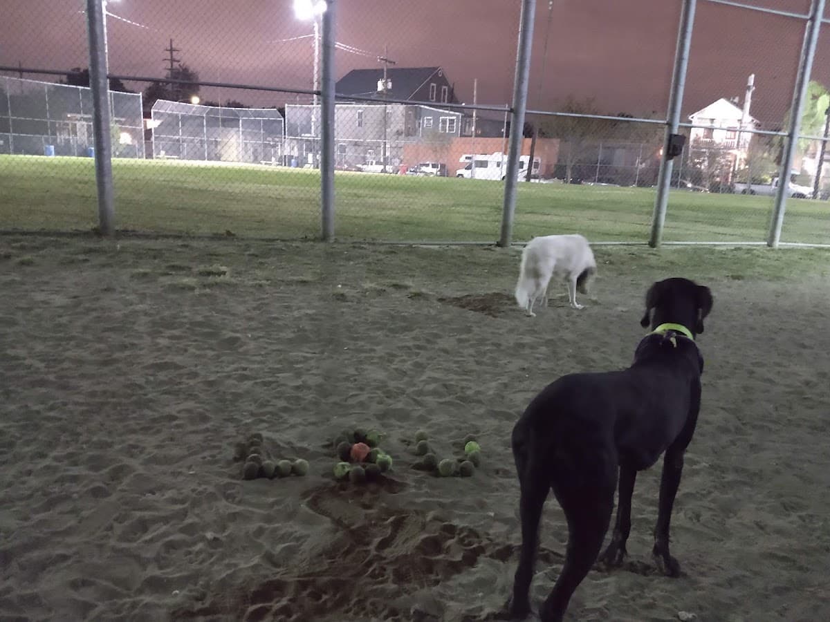 Wisner Dog Park