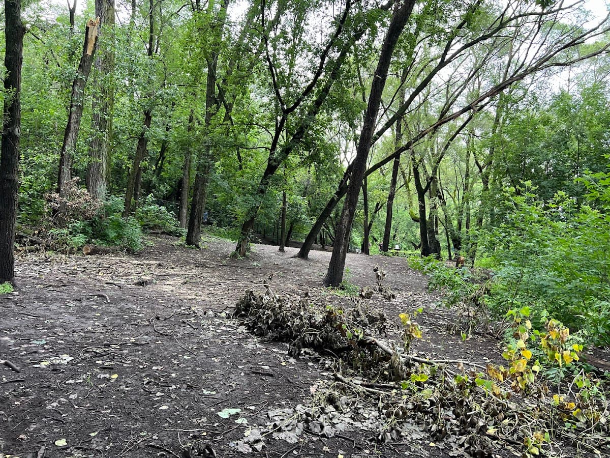 Woodview Off-Leash Dog Area