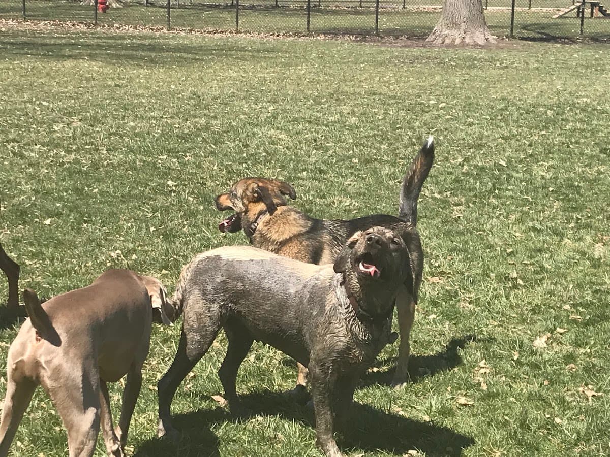WOOFhaven Dog Park (Membership Required)